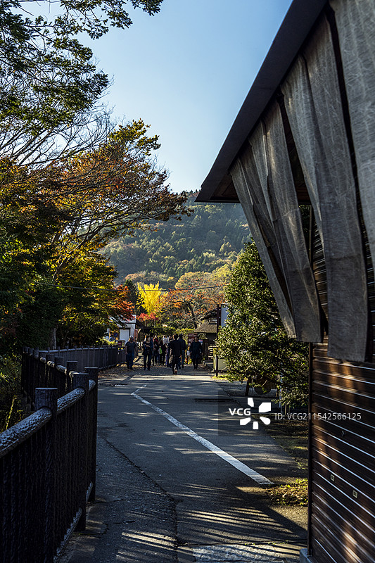 忍野八海秋色图片素材