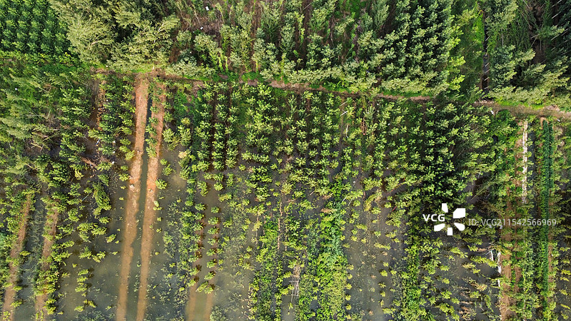 航拍东平湖、大宋不夜城图片素材