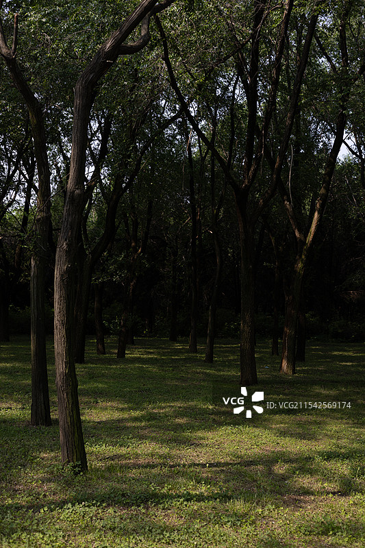 骊山山脚外景图片素材
