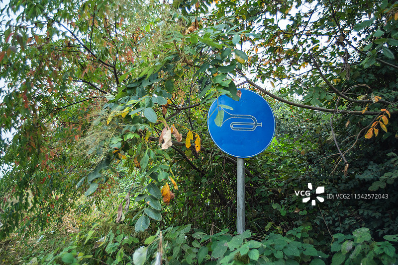 画面中一个蓝色圆形路标立于树丛间，路标上有白色箭头图案，周围绿叶繁茂，透着自然与交通指示的融合之美。图片素材
