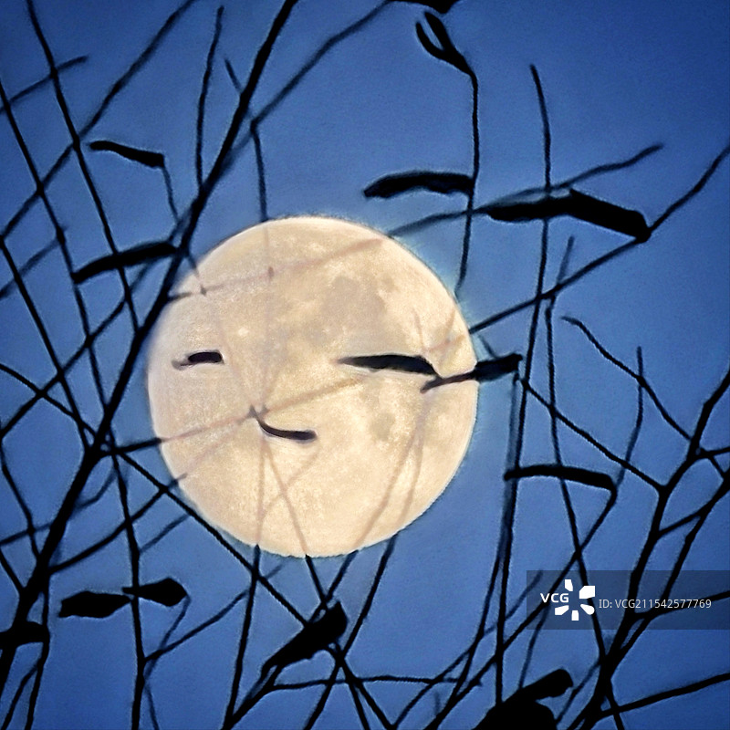 月亮的笑脸图片素材