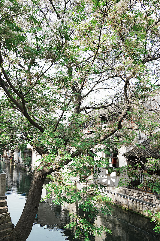 小桥流水人家图片素材