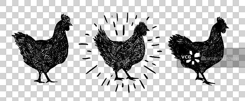 手绘鸡图片素材