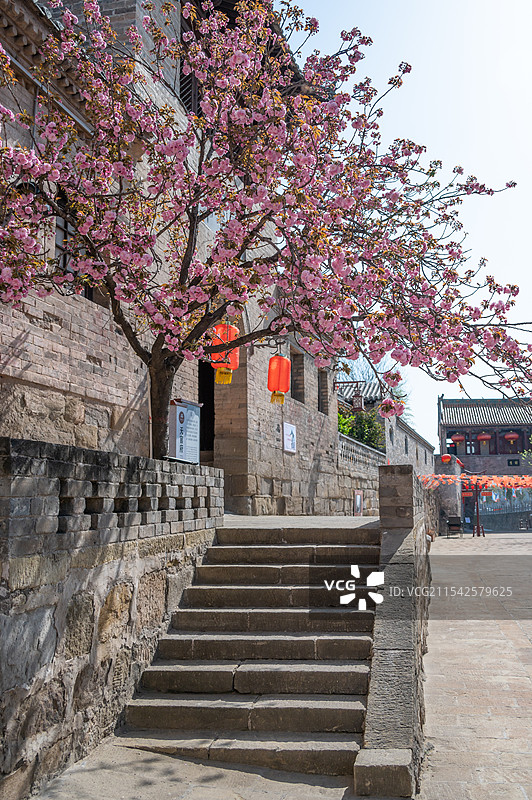 天官王府 天官府 春天的樱花图片素材