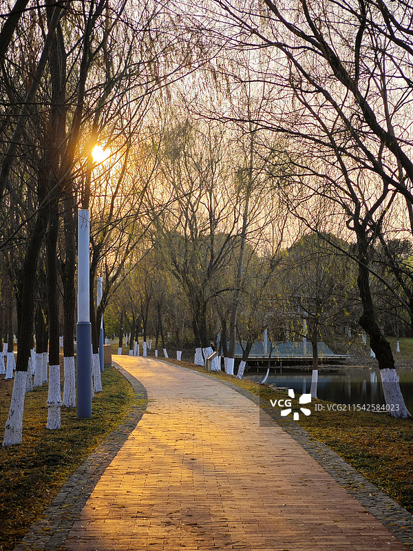落日夕阳下的小路图片素材