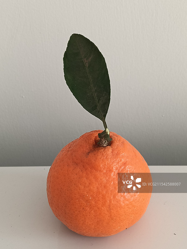桔子图片素材