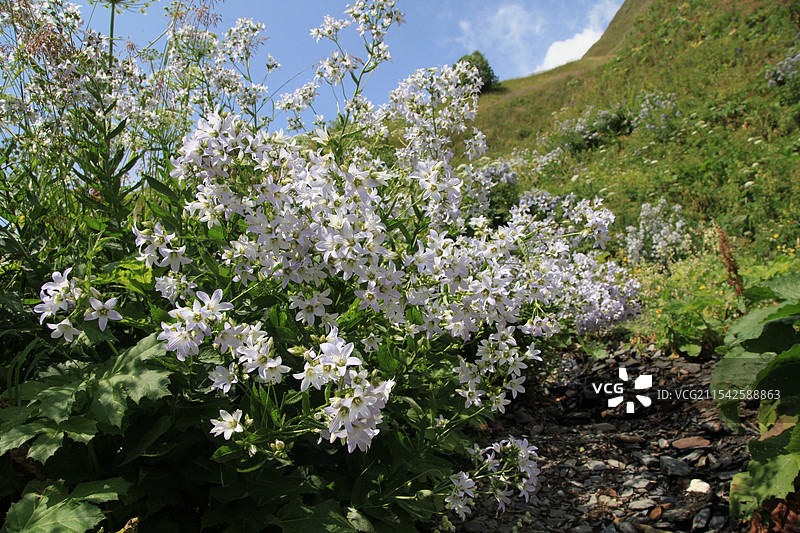 格鲁吉亚乌苏故里风光图片素材