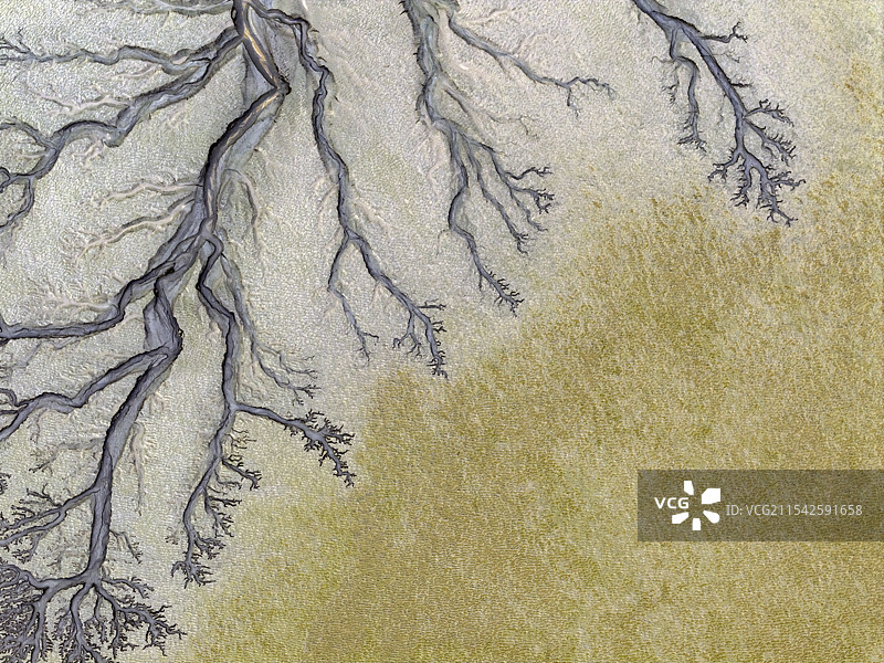 钱塘江潮汐树（滩涂为卷 潮水为墨）图片素材