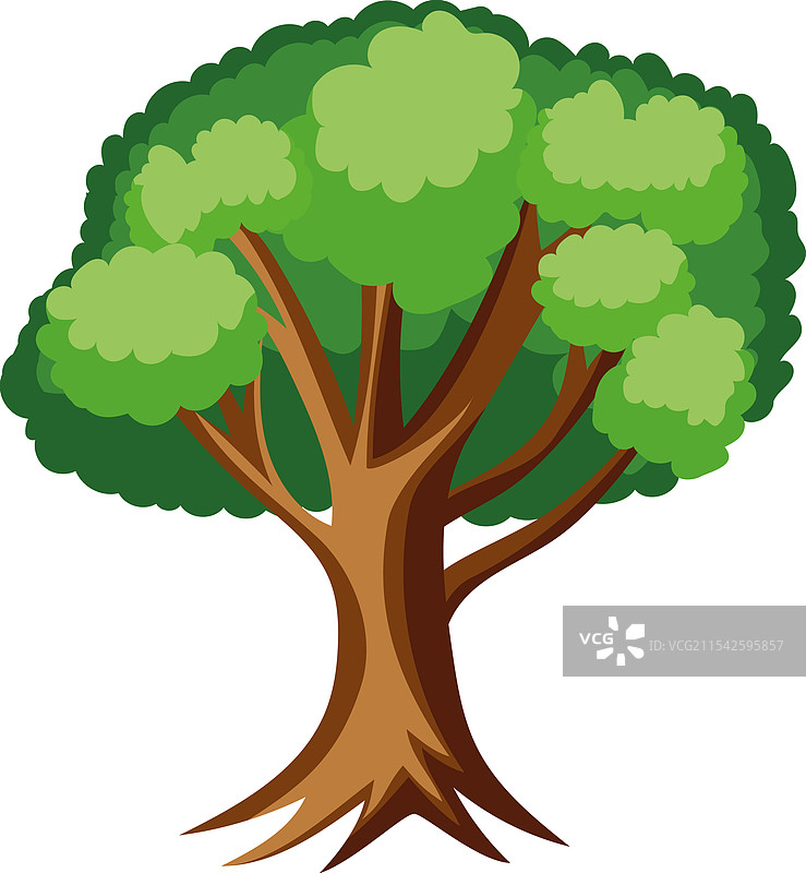 榆树叶子图片素材