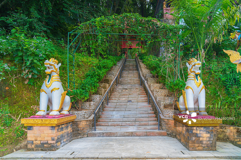 云南西双版纳勐海县独树成林景区图片素材