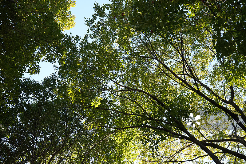 南京颐和公馆-颐和馆 颐和路民国时期公馆风貌区图片素材