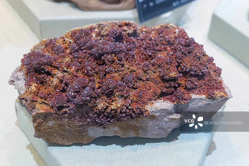 钒铅矿 德国产 山东省地质博物馆图片素材