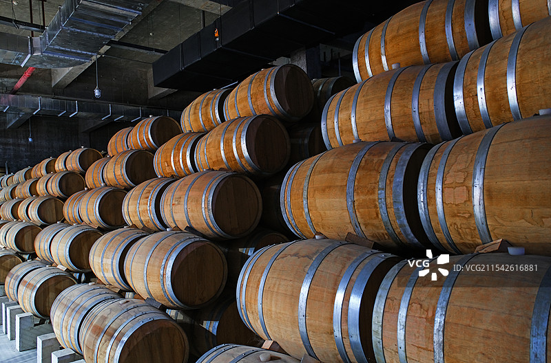 酒窖里整齐码放的酒桶图片素材