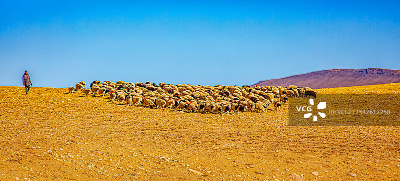 牧羊人图片素材