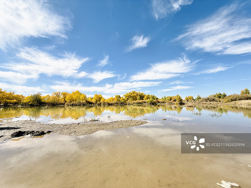 额济纳旗胡杨林二道桥图片素材