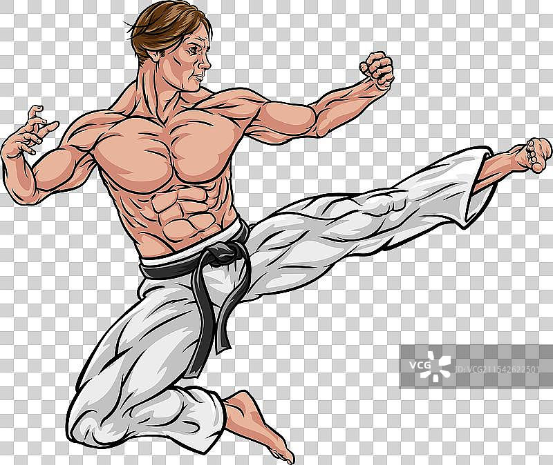 空手道或功夫飞踢图片素材