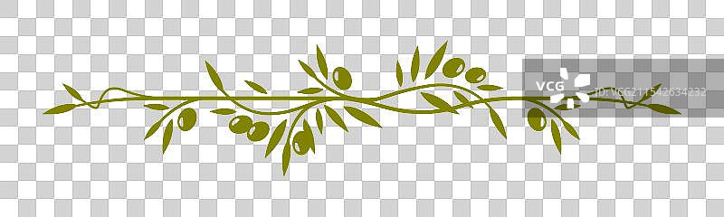 橄榄叶边框线或分隔线图片素材