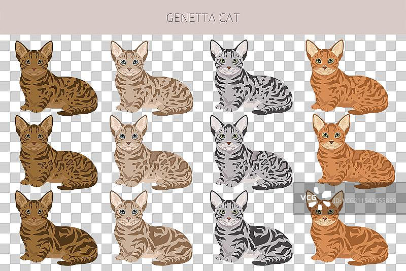 基因塔猫剪贴画，所有猫种类图片素材