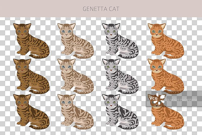 基因塔猫剪贴画，所有猫种类图片素材