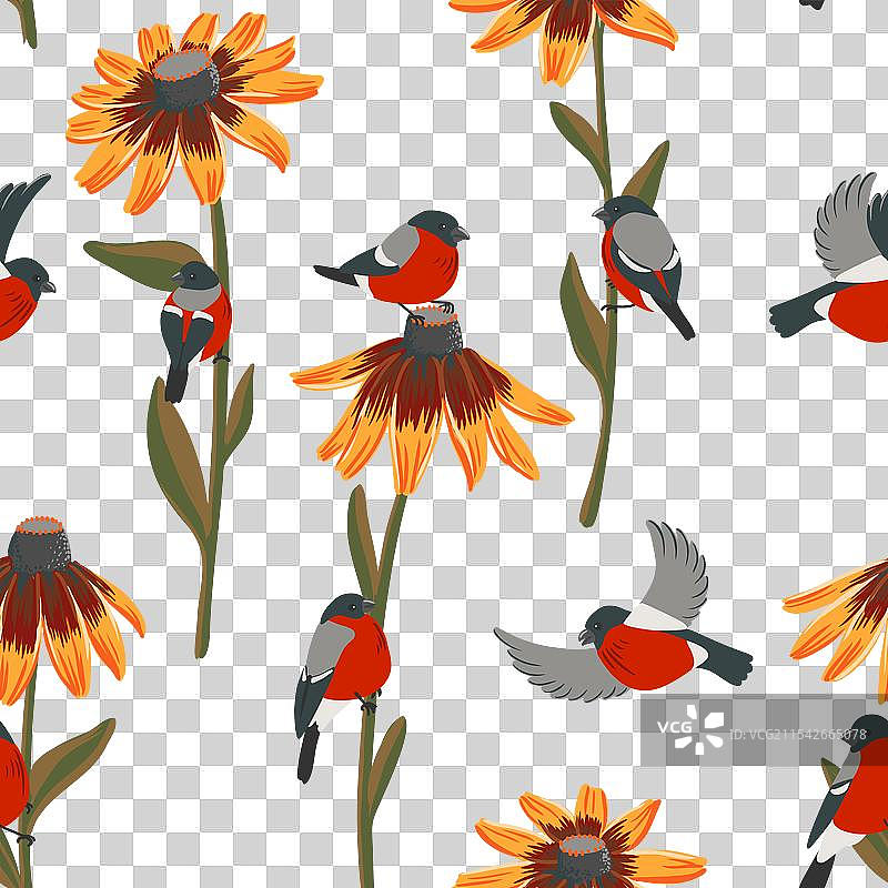 花卉和鸟类的无缝图案图片素材