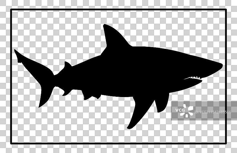 水下的 basking shark 轮廓图片素材
