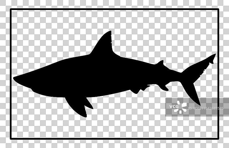 水下的 basking shark 轮廓图片素材
