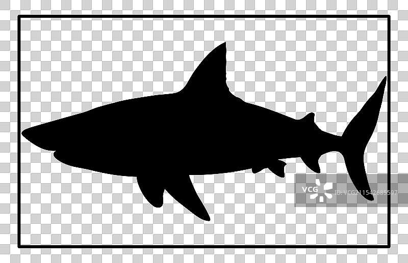 在水下的 basking shark 轮廓图片素材