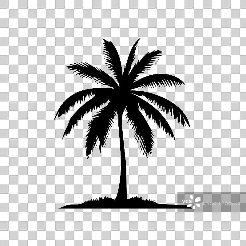 椰子树剪影图片素材