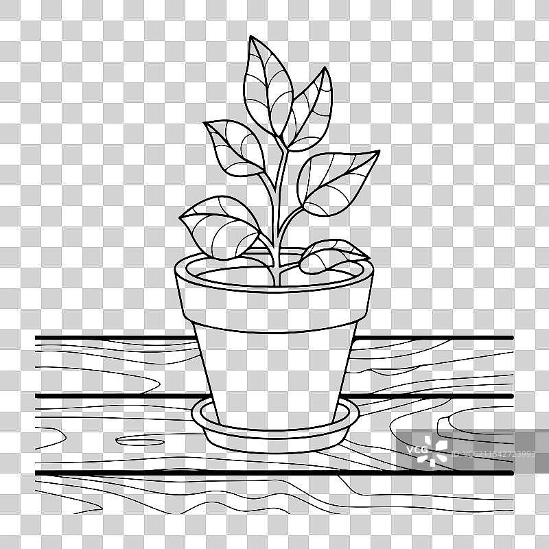 花盆涂色页轮廓设计图片素材