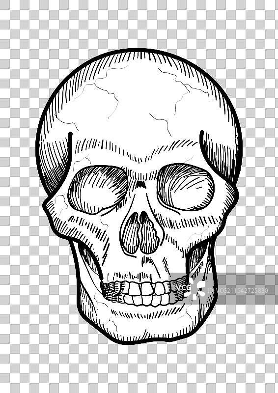 涂鸦线条艺术骷髅图片素材