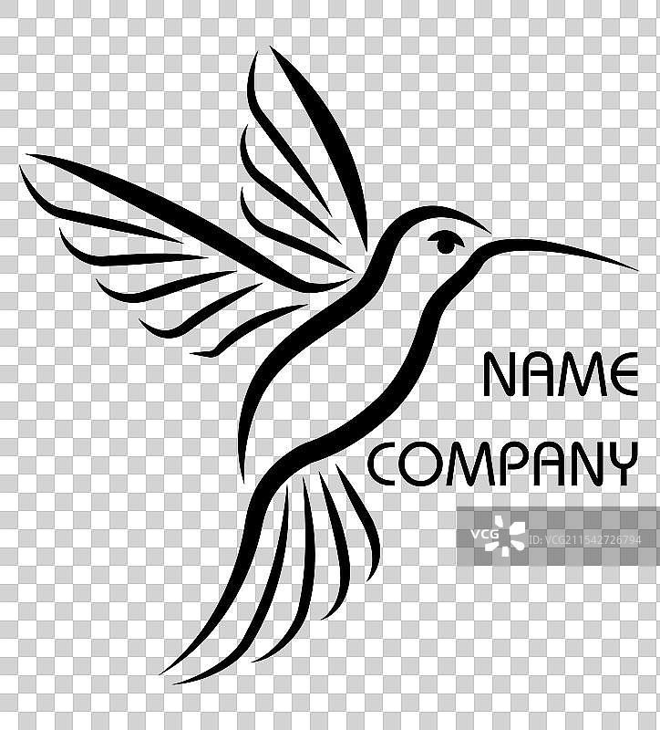 美丽的小蜂鸟时尚标志图片素材