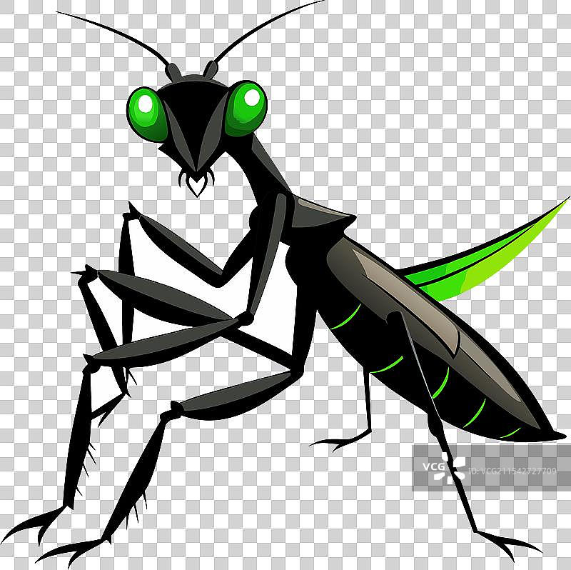 黑色和绿色的写轮眼真实照片图片素材