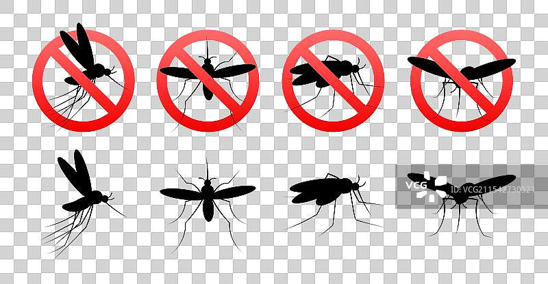 蚊子剪影与禁止标志显示图片素材