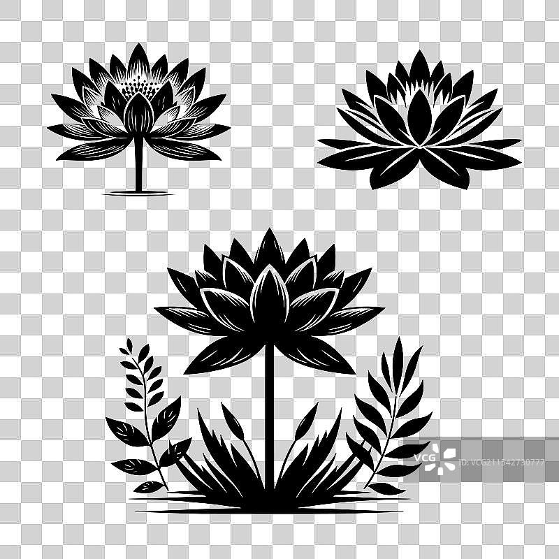 白色背景上的花朵剪影风格-2图片素材