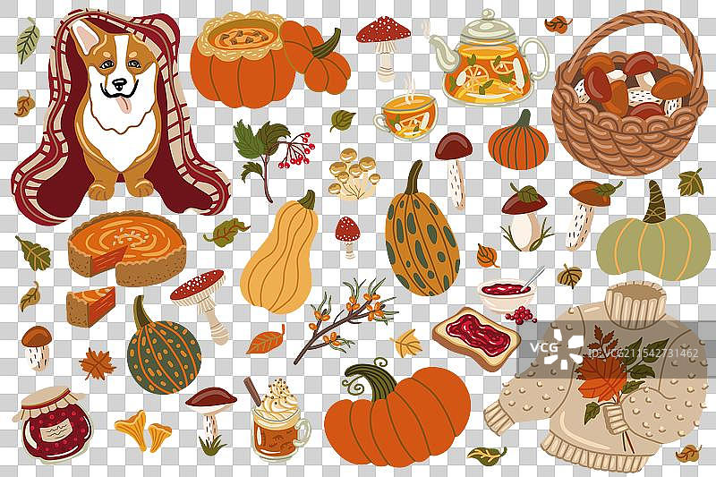 手绘孤立的秋季元素图片素材