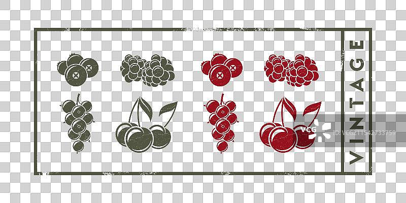 浆果复古风格图片素材