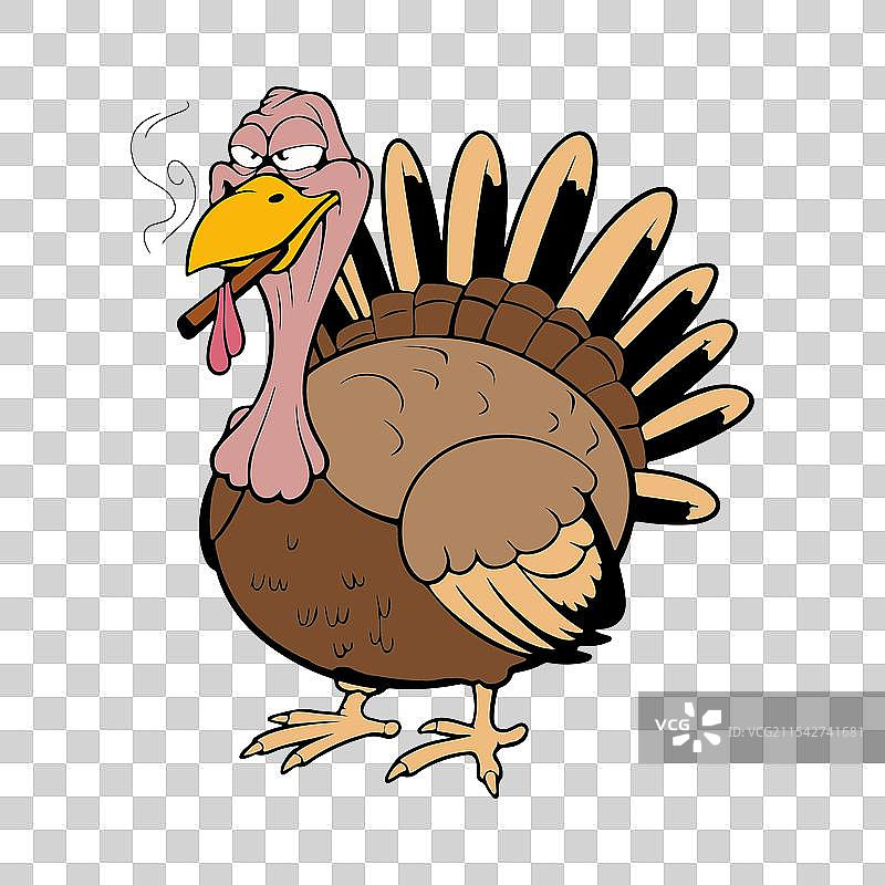 火鸡艺术设计图片素材