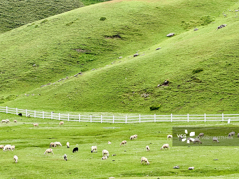 曲靖大海草山图片素材