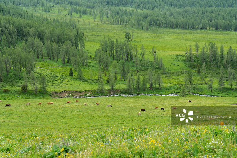 北疆风光图片素材