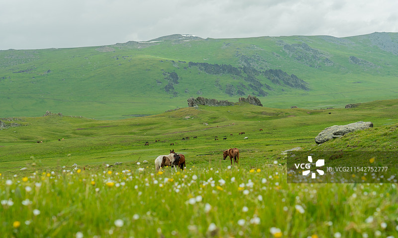 北疆风光图片素材