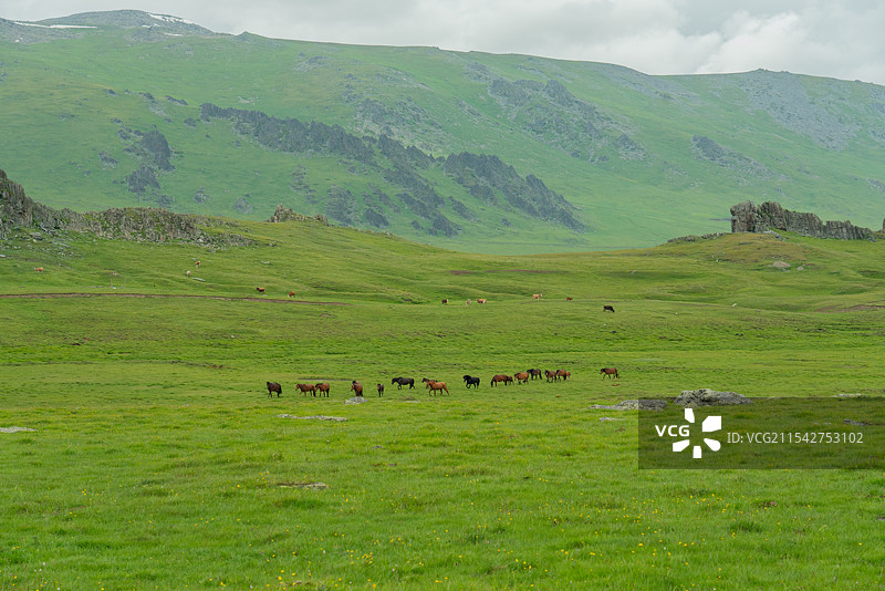 北疆风光图片素材