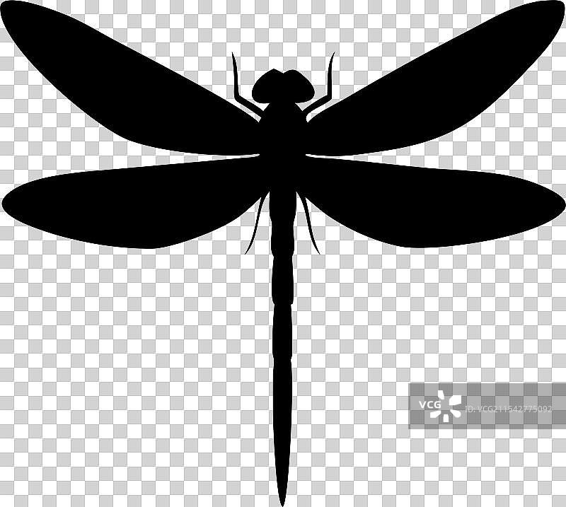 白色背景上的蜻蜓图标剪影艺术图片素材
