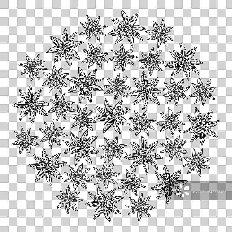 手绘八角茴香草药和香料轮廓图片素材