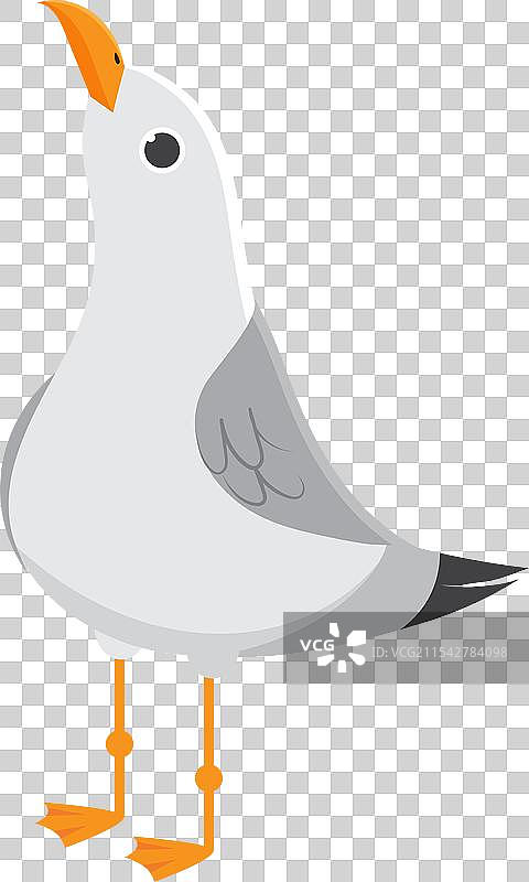 卡通海鸥张嘴站立图片素材