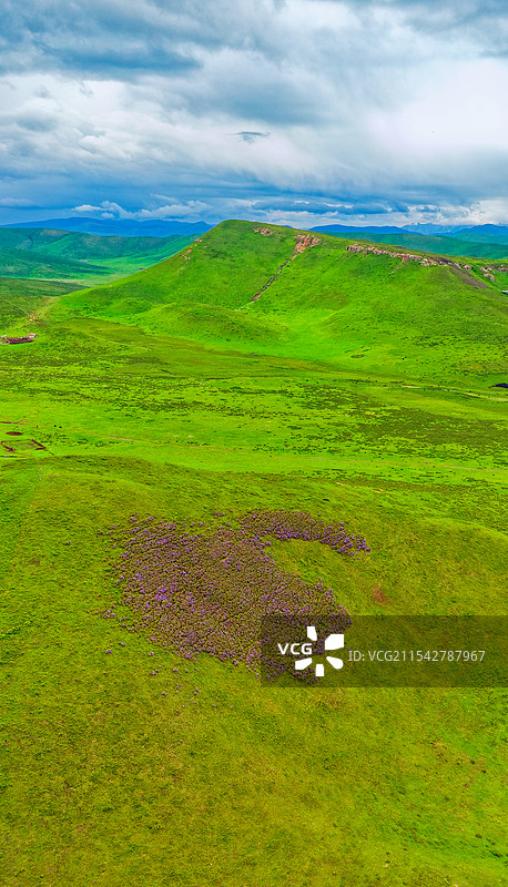航拍甘南草原竖幅手机壁纸屏保自然风光图片素材