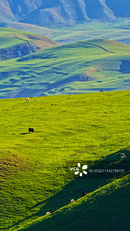 航拍甘南草原竖幅手机壁纸屏保自然风光图片素材