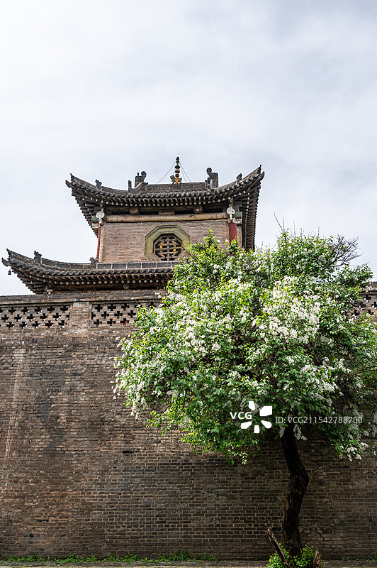 长治上党门 城墙下的丁香花图片素材