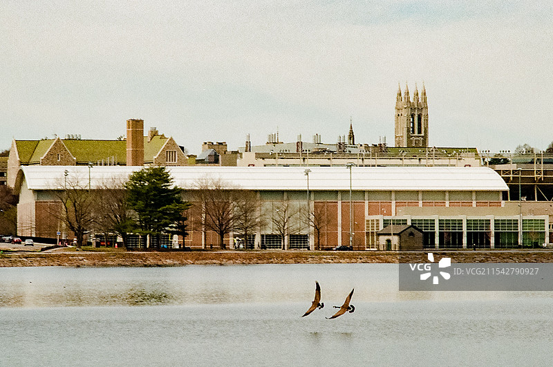 美国马萨诸塞州布鲁克莱恩春季景色图片素材