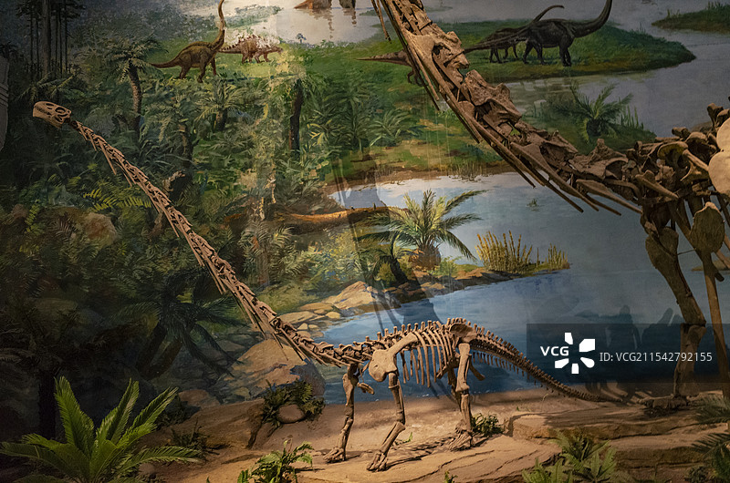 四川自贡恐龙博物馆图片素材