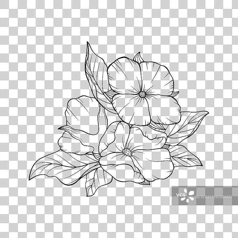 四瓣花花簇图片素材